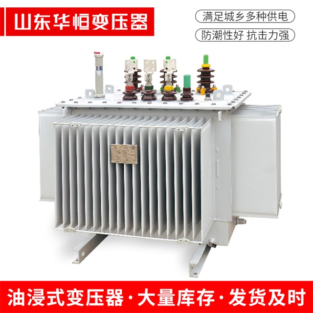S13-10000/35新蔡新蔡新蔡电力变压器
